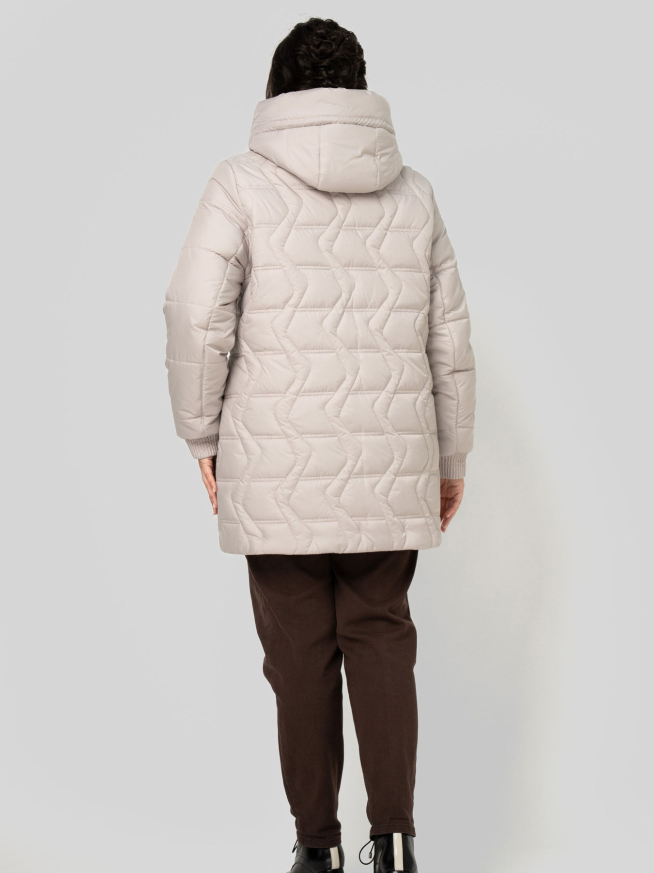 Зимняя куртка All Posa модель ap102524p-ld Фото