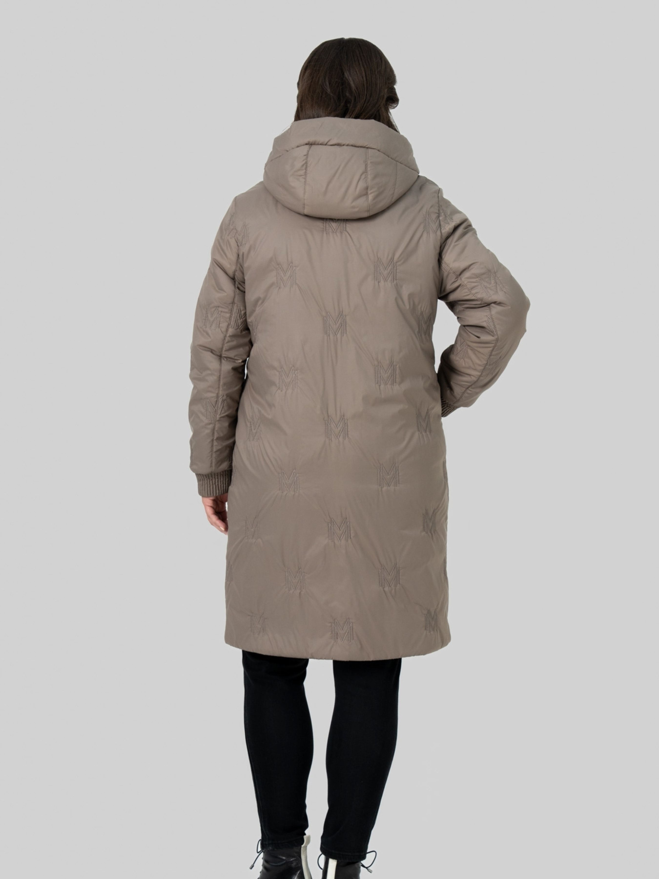 Зимова куртка All Posa модель ap102571p-kapuchno Фото