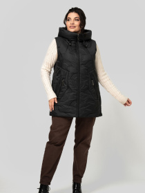 Утепленный жилет All Posa модель ap102477p-chornij Фото