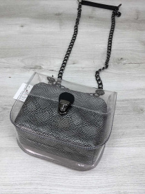 Сумка WeLassie модель sumka-selena-prozorij-kosmetichka-srblo Фото