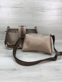 Клатч WeLassie модель zhnocha-sumka-miranda-zoloto Фото