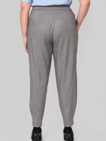 Повсякденні штани All Posa модель ap102411p-srij Повсякденні штани All Posa модель ap102411p-srij Фото