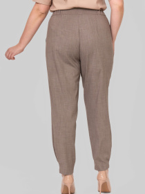 Повседневные штаны All Posa модель ap102411p-korichnevij Фото