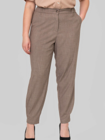 Повседневные штаны All Posa модель ap102411p-korichnevij Фото