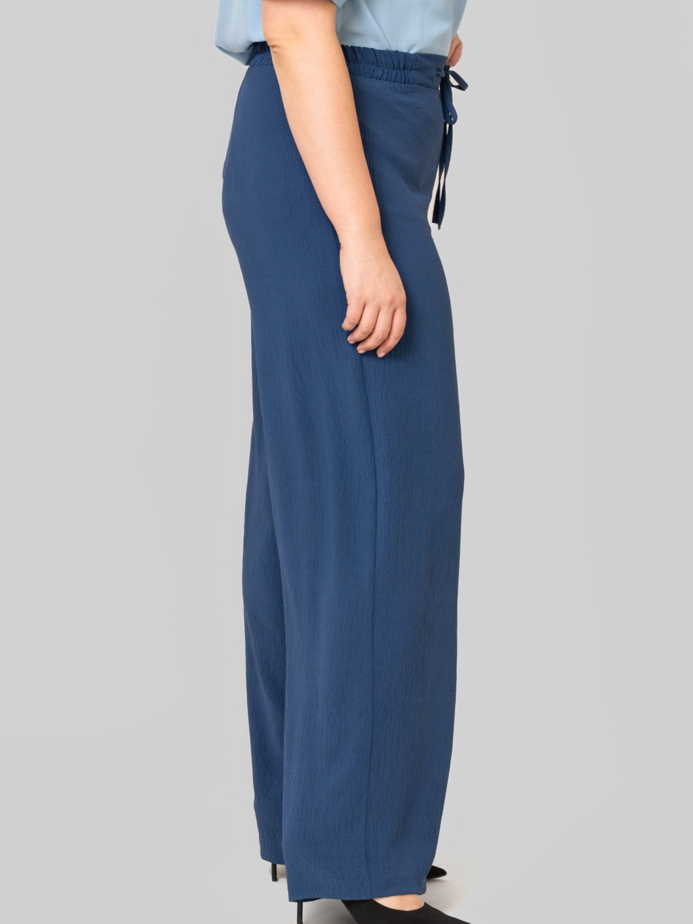 Повсякденні штани All Posa модель ap102383p-sinj Фото