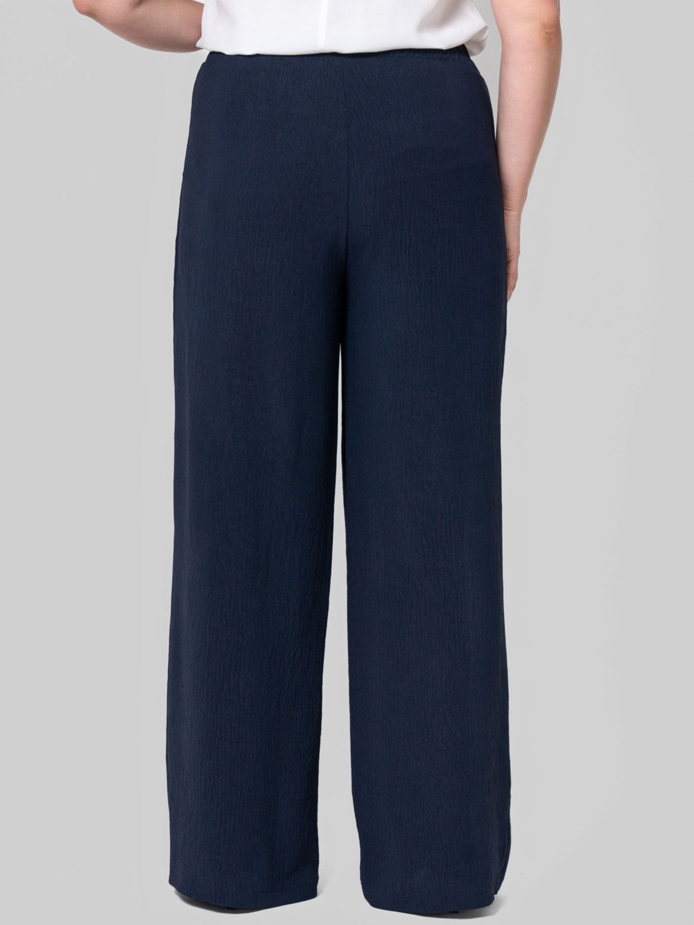 Повсякденні штани All Posa модель ap102383p-temno-sinj Фото