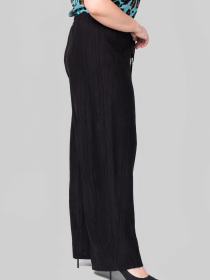 Брюки повседневные All Posa модель ap102383p-chornij-zhatka Фото