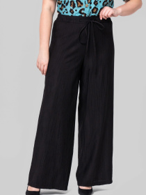 Повседневные штаны All Posa модель ap102383p-chornij-zhatka Фото