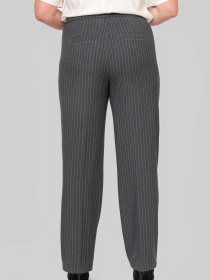 Классические штаны All Posa модель ap102328p-graft-smuzhka Фото