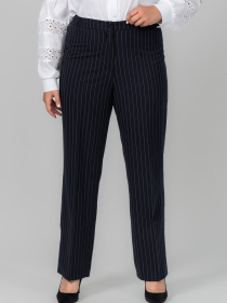 Класичні штани All Posa модель ap102129p-temno-sinj Фото