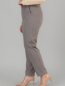 Брюки повседневные All Posa модель ap102050p-kapuchno Фото