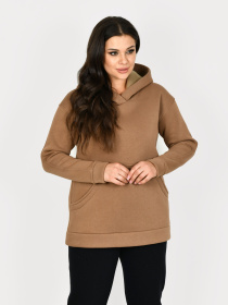Худи All Posa модель ap101313p-temno-bezhevij Фото