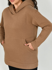 Худи All Posa модель ap101313p-temno-bezhevij Фото