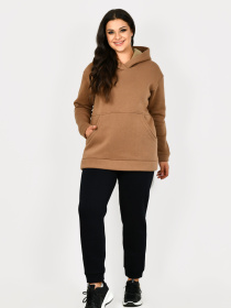 Худі All Posa модель ap101313p-temno-bezhevij Фото
