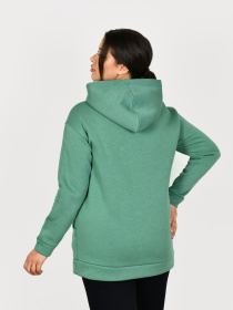 Худи All Posa модель ap101313p-zelenij Фото