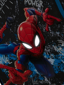 Повседневный рюкзак Samsonite модель 64C52003 Фото