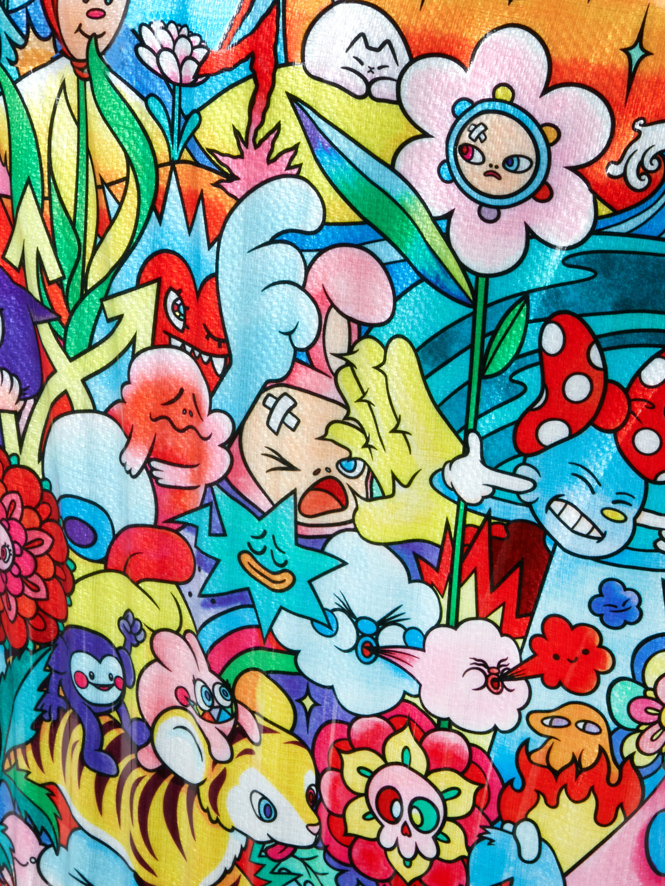 Валіза Samsonite модель CS252011 Фото