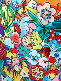 Валіза Samsonite модель CS252011 Фото