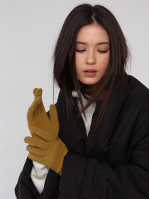 Перчатки и варежки Famo модель RUK-PR-18_08 Фото