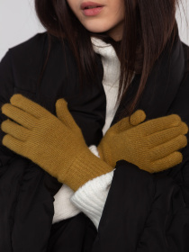 Перчатки и варежки Famo модель RUK-PR-18_08 Фото