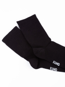 Шкарпетки Famo модель SH-1234_02 Фото