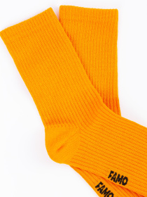 Носки Famo модель SH-1234_07 Фото