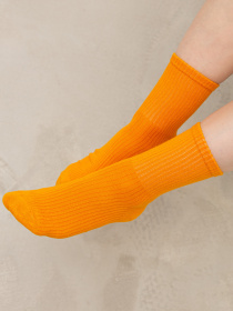 Носки Famo модель SH-1234_07 Фото