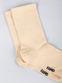 Носки Famo модель SH-1234_13 Фото