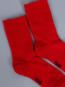 Носки Famo модель SH-1234_14 Фото