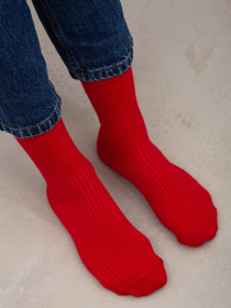 Носки Famo модель SH-1234_14 Фото