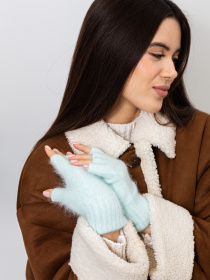 Перчатки и варежки Famo модель M-10_01 Фото