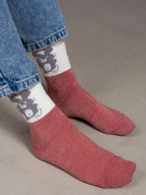 Носки Famo модель SH-578-2_04 Фото