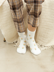 Шкарпетки Famo модель SH-9003_04 Фото