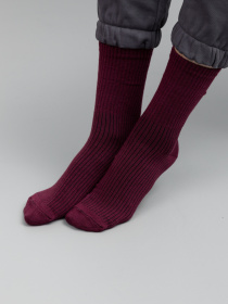 Шкарпетки Famo модель SH-1234_21 Фото