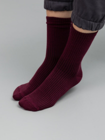 Шкарпетки Famo модель SH-1234_21 Фото