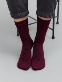 Шкарпетки Famo модель SH-1234_21 Фото