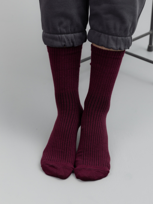 Шкарпетки Famo Модель SH-1234_21 Фото