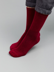 Носки Famo модель SH-1234_22 Фото