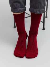 Носки Famo модель SH-1234_22 Фото