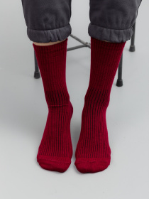 Носки Famo модель SH-1234_22 Фото