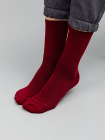 Носки Famo модель SH-1234_22 Фото