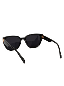 Солнцезащитные очки Famo модель A1224P_02 Фото