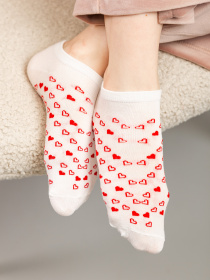 Носки Famo модель SH-8045_03 Фото