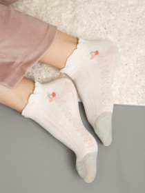 Носки Famo модель SH-8052_04 Фото