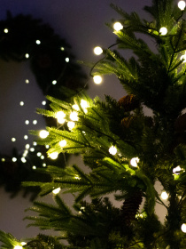 Лента светодиодная "Шарики" теплый свет MBM MY HOME модель DH-LAMP-06 WARM WHITE Фото