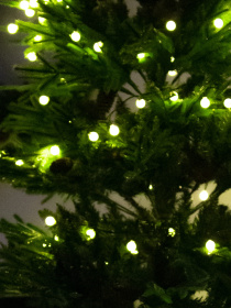 Лента светодиодная "Шарики" теплый свет MBM MY HOME модель DH-LAMP-06 WARM WHITE Фото