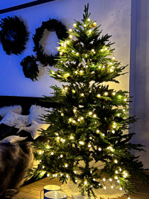 Стрічка світлодіодна "Кульки" тепле світло MBM HOME модель DH-LAMP-06 WARM WHITE Фото