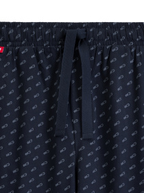 Пижама Atlantic модель NMP-390_SZMJ_GRA Фото