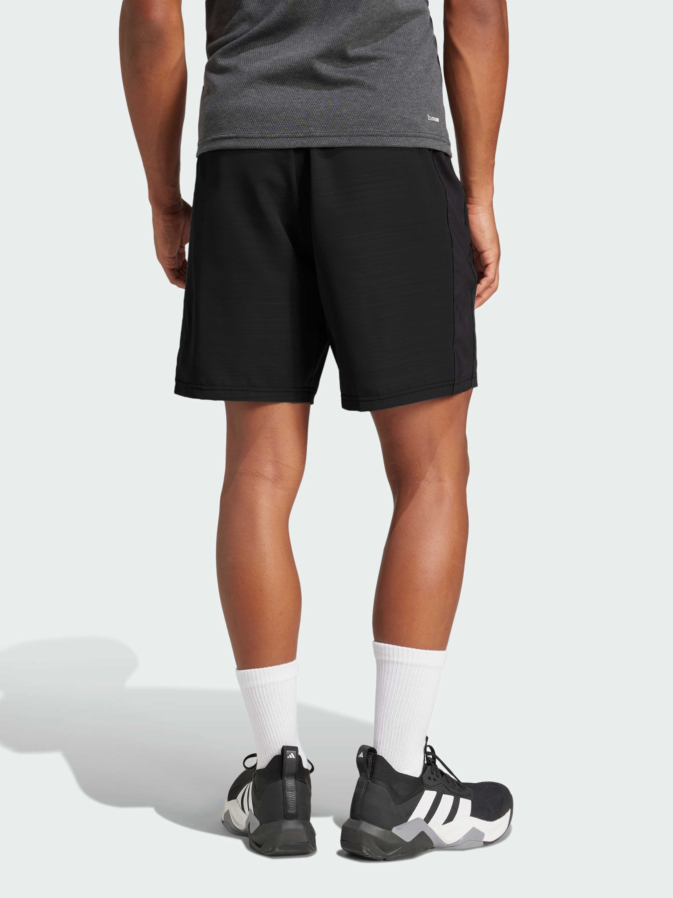 Шорты спортивные Adidas модель JM3655 Фото