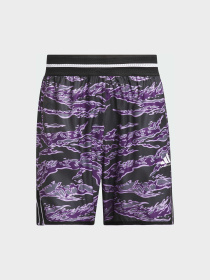 Шорты спортивные Adidas модель JV6911 Фото